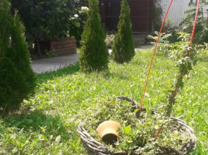 Частный дом Feel House