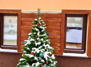 Гостевой дом Спутник