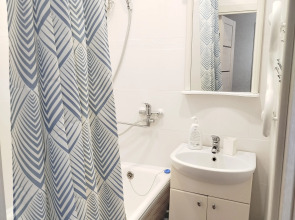 Апартаменты Пушкина 44