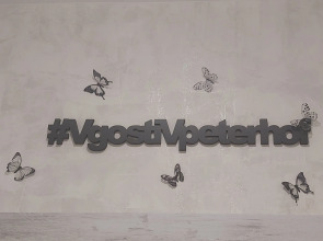 Квартира VgostiVpeterhof