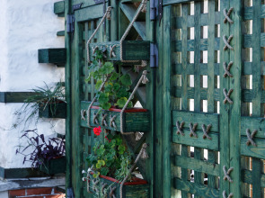 Отель Грин Терраса