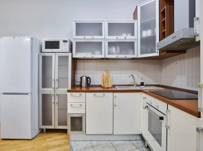 Апартаменты 2х-комнатные в Доме клубного типа - Третьяковская галерея