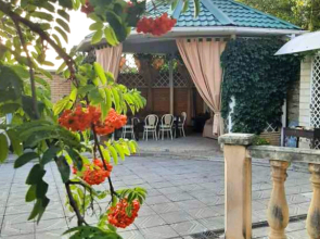 Частный Дом с Беседкой на Проспекте Дзержинского 25