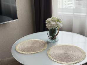 Квартира уютная напротив Театра оперы и балета