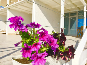 Отель Villa Capri