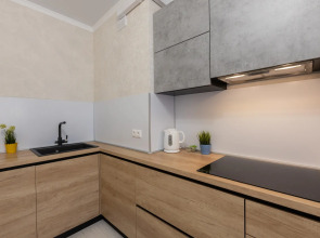 Апартаменты Сутки Уфа на Энтузиастов 16 65