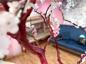 Квартира Сакура в Хибинах