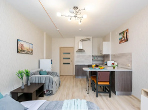 Апартаменты Cosmos Apart на Революции 54 (1)