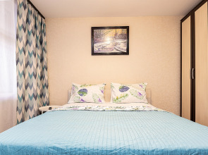 Апартаменты двухкомнатные  на Мещерском бульваре 3/3 .м.Cтрелка. Сова-Дом