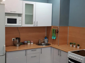 Квартира Апартаменты у Аэропорта Толмачево