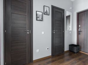 Апартаменты Pronina Aparts Family Luxe