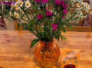 Частный дом Ладожские дюны