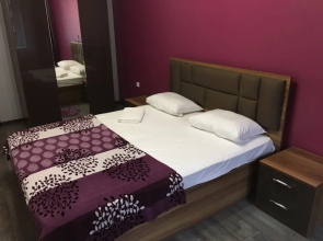 Lyuks V Tsentre Apartments