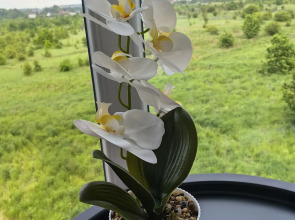 Квартира в 7 Минутах от Моря