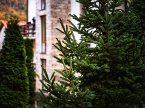 Апартаменты Оплот Горы