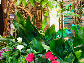 Отель British House