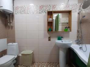 Апартаменты Рыжий Кот Дружный