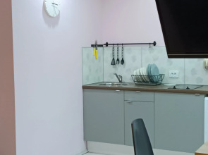 Апартаменты Библиотечная 45 #1