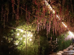 Отель Cross Resort