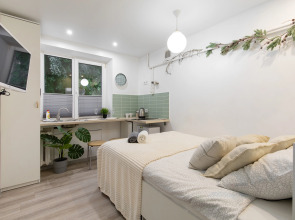 Апартаменты Исторический центр 2