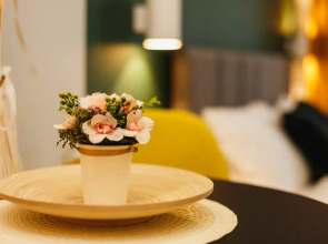 Апартаменты Vincent Apart 1