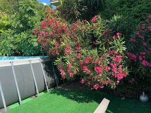 Гостевой дом Альмира