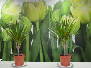 Хостел ХотелХот Белорусский Вокзал