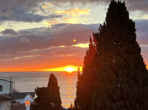 Меблированные комнаты Мид