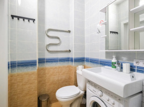 Апартаменты Домант Романова 60/1