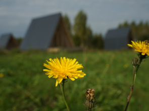 Гостевой дом Лаванда