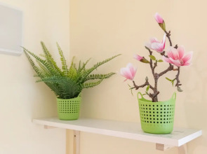 Апартаменты в ЖК Царская Площадь 383-4