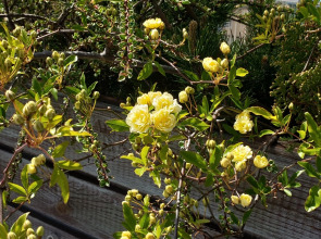 Гостевой дом В гостях у Джулии