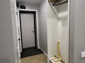 Квартира двухуровневая у Московского проспекта