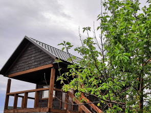 Гостевой дом Улей