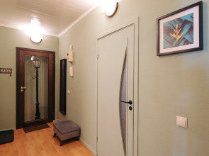 Апартаменты двухкомнатные Live in Karelia в центре у набережной Ленина 3