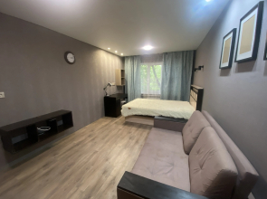 Квартира однокомнатная на Кижеватова 9