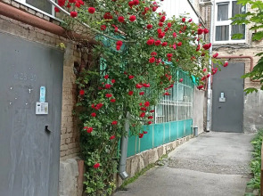 Апартаменты на Пушкинской 101 1