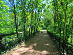 Апартаменты Павлин в Центре города