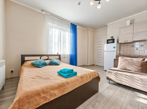 Апартаменты Фрунзе 49/2