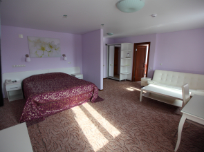 Отель Два крыла