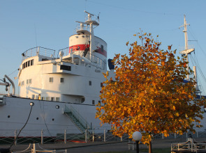 Отель Гостевые каюты НИС Витязь