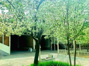 Хостел Colibri Traditional Hostel