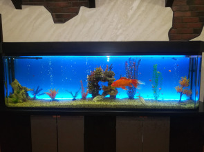 Городской отель Ключотель