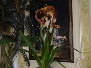 Отель Лотос