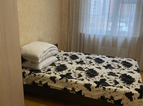 Квартира Дом Гончарова на Нестерова 6