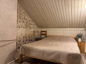 Частный дом Уединенный дом на берегу Ладоги