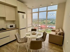 Apartamenty Panoramnye u parka
