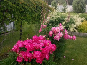 Riekkalansaari vacation home Guest House