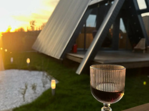 V Dom Guest House