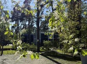 Коттедж 1 Скворешники